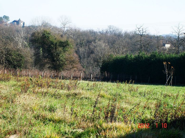 achat - Terrain 0 pièce - SAINT AUBIN DE BRANNE - 33420